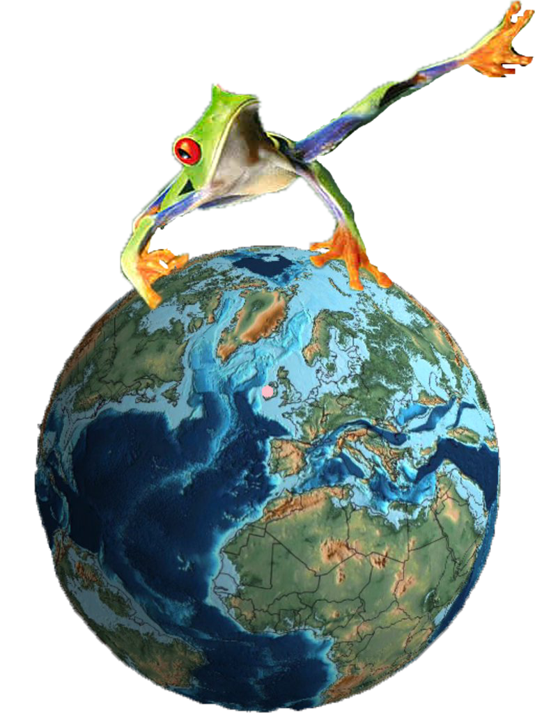World Frog